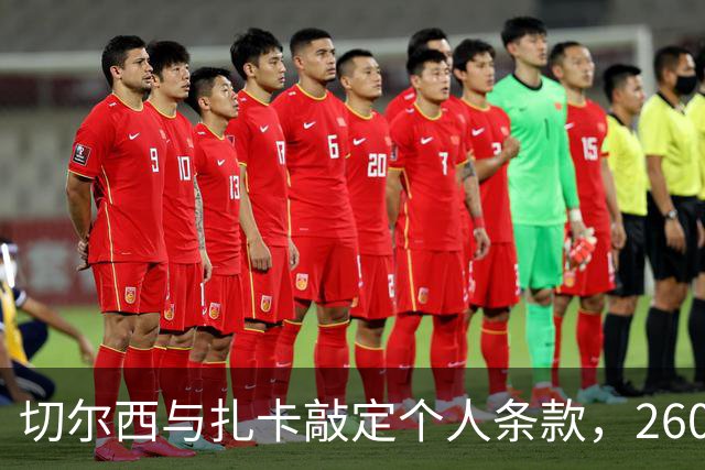 切尔西与扎卡敲定个人条款，2600万镑报价等待桑德兰放行