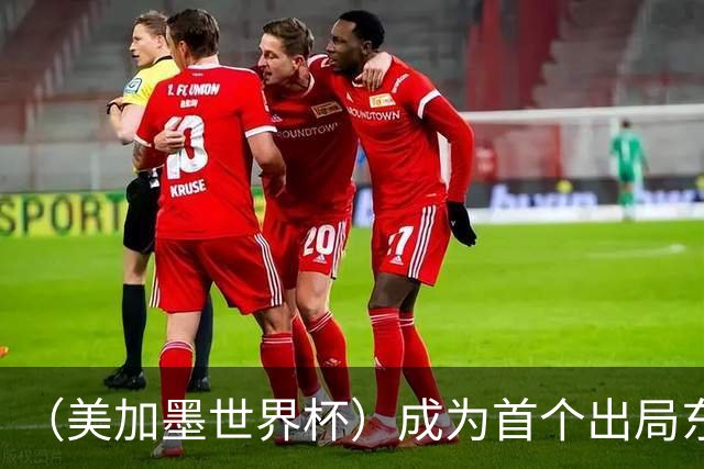 （美加墨世界杯）成为首个出局东道主后，加拿大带着突破与希望离开